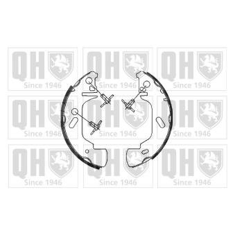 Jeu de mâchoires de frein QUINTON HAZELL OEM 9161446