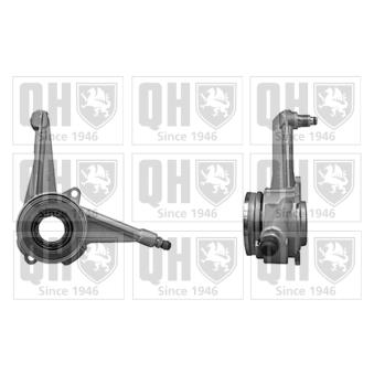 Débrayage central, embrayage QUINTON HAZELL OEM 02F141671B