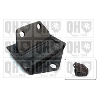 Support/suspension,plot de berceau/Support d'agrégats QUINTON HAZELL EM1507 pour OPEL MOVANO 2.2 DTI - 90cv