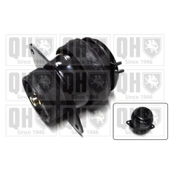 Support moteur QUINTON HAZELL OEM 1H0199262E