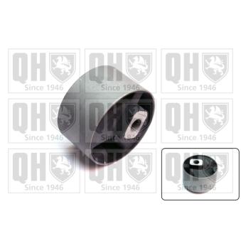 Support moteur QUINTON HAZELL OEM 171199214F