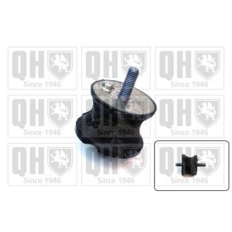 Suspension, boîte automatique QUINTON HAZELL OEM 22316771219