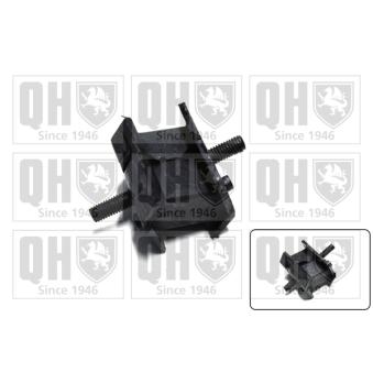 Suspension, boîte automatique QUINTON HAZELL OEM 24701138427