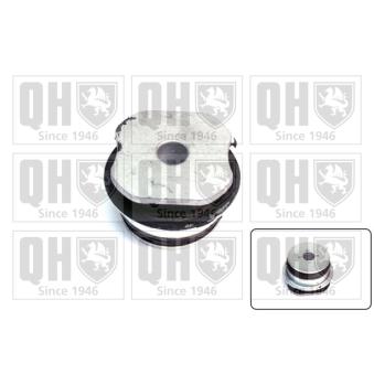 Silent bloc de suspension (train arrière) QUINTON HAZELL EM3083 pour FIAT PUNTO 60 1.2 - 60cv