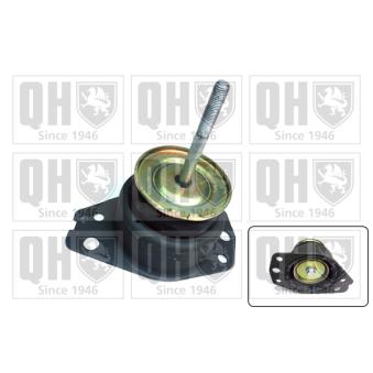 Support moteur QUINTON HAZELL OEM 7764084