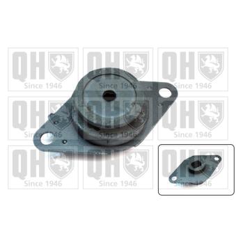 Suspension, boîte automatique QUINTON HAZELL [EM4095]