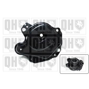 Suspension, boîte automatique QUINTON HAZELL OEM 6N0199555G Suspension, boîte automatique QUINTON HAZELL OEM 6N0199555G