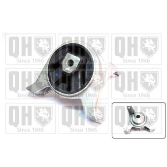 Support moteur QUINTON HAZELL OEM 24427298