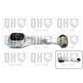 Support moteur QUINTON HAZELL OEM 6001543360