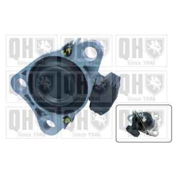Support moteur QUINTON HAZELL OEM 7700436287 Support moteur QUINTON HAZELL OEM 7700436287