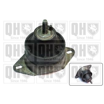 Support moteur QUINTON HAZELL OEM 1483748080 Support moteur QUINTON HAZELL OEM 1483748080
