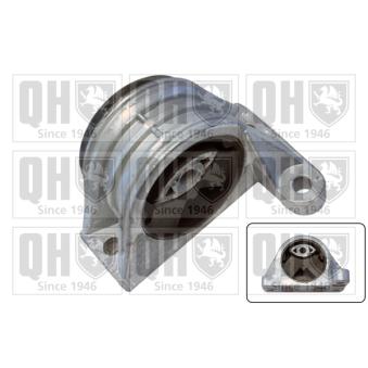 Support moteur QUINTON HAZELL OEM 1335127080