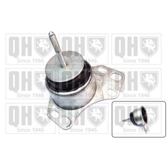 Suspension, boîte automatique QUINTON HAZELL OEM 46403319 Suspension, boîte automatique QUINTON HAZELL OEM 46403319
