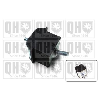 Support moteur QUINTON HAZELL OEM 6025111363