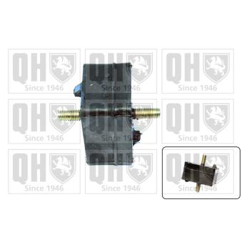 Suspension, boîte automatique QUINTON HAZELL [EM4424]