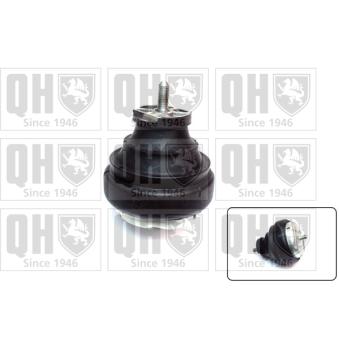 Support moteur QUINTON HAZELL [EM4531]