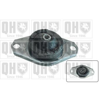 Suspension, boîte automatique QUINTON HAZELL [EM4578]