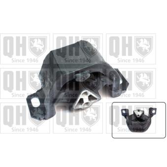 Support moteur QUINTON HAZELL EM4654 Support moteur QUINTON HAZELL EM4654