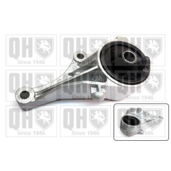 Support moteur QUINTON HAZELL OEM 24416545 Support moteur QUINTON HAZELL OEM 24416545