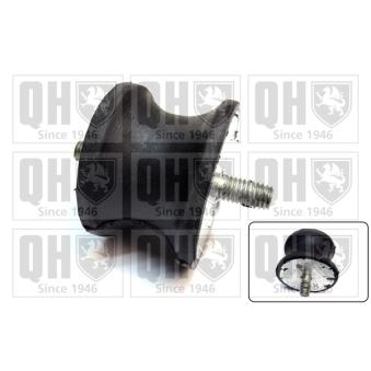 Support moteur QUINTON HAZELL OEM 4059109 Support moteur QUINTON HAZELL OEM 4059109