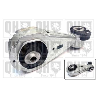 Support moteur QUINTON HAZELL OEM 113560012R