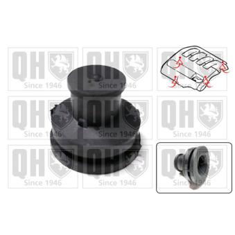 Butée élastique, cache moteur QUINTON HAZELL [EM4846]