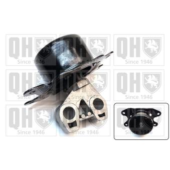 Support moteur QUINTON HAZELL OEM 24416554 Support moteur QUINTON HAZELL OEM 24416554