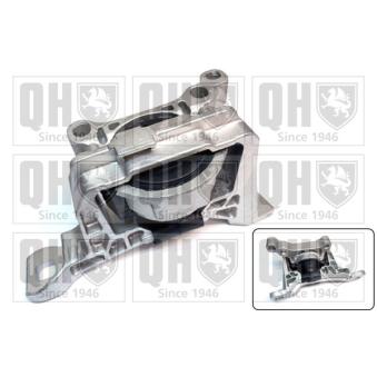 Support moteur QUINTON HAZELL OEM 1686911 Support moteur QUINTON HAZELL OEM 1686911