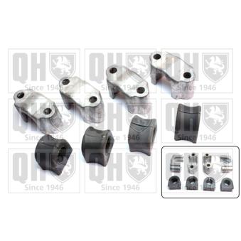 Kit de réparation, suspension du stabilisateur QUINTON HAZELL OEM 96064489