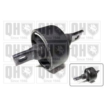 Silent bloc de suspension (train arrière) QUINTON HAZELL OEM RGX100980