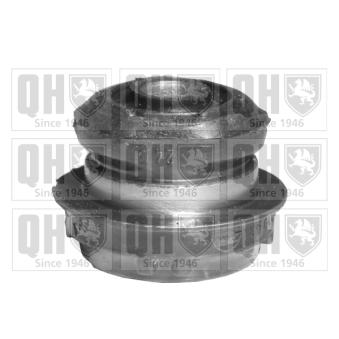 Silent bloc de suspension (train avant) QUINTON HAZELL OEM 1243334314