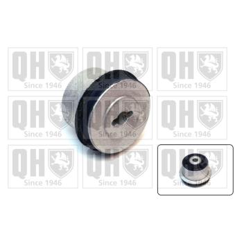 Silent bloc de suspension (train arrière) QUINTON HAZELL OEM 423302
