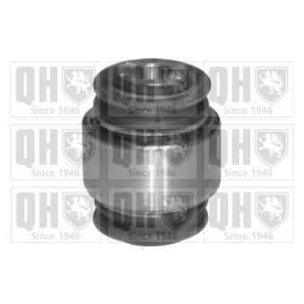 Silent bloc de suspension (train arrière) QUINTON HAZELL EMS8133 pour BMW Z3 1.8 - 116cv