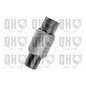 Silent bloc de suspension (train arrière) QUINTON HAZELL [EMS8308]