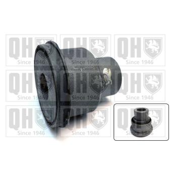 Silent bloc de suspension (train avant) QUINTON HAZELL OEM 350408