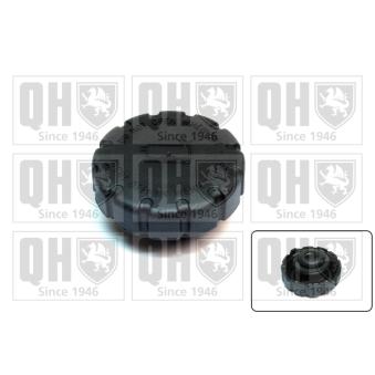Bouchon, réservoir de liquide de refroidissement QUINTON HAZELL FC523 pour DODGE RAM 1500 E 350 e - 320cv