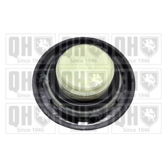 Bouchon, goulotte de remplissage d'huile QUINTON HAZELL [FC583]