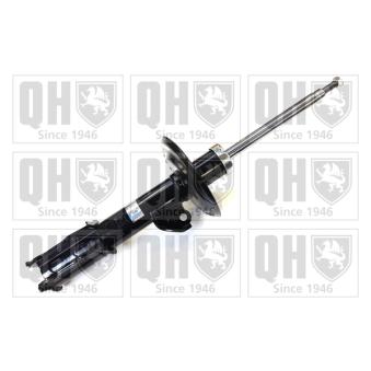 Jeu de 2 amortisseurs arrière QUINTON HAZELL OEM 4853160591