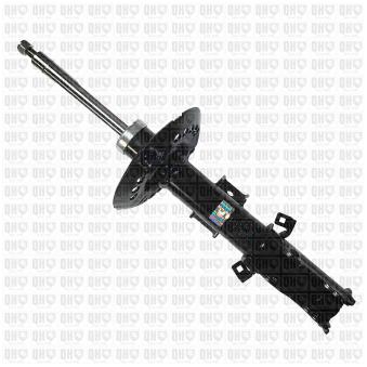 Jeu de 2 amortisseurs avant QUINTON HAZELL OEM 6393206013