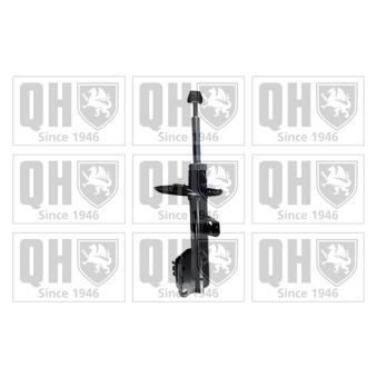 Jeu de 2 amortisseurs avant QUINTON HAZELL QAG181581 pour VOLKSWAGEN CALIFORNIA 2,0 TDI - 136cv