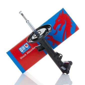 Jeu de 2 amortisseurs avant QUINTON HAZELL OEM 2033206830