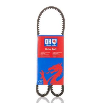 Courroie trapézoïdale QUINTON HAZELL QBA863 pour CUPRA FORMENTOR 1.6 - 73cv