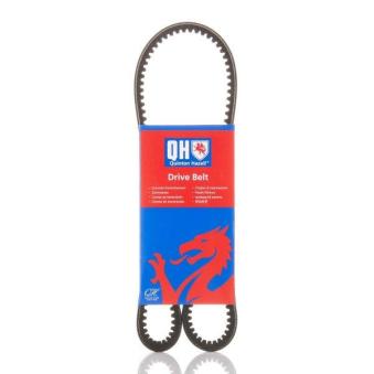 Courroie trapézoïdale QUINTON HAZELL QBA900 pour CITROEN JUMPY 2.0 E - 110cv