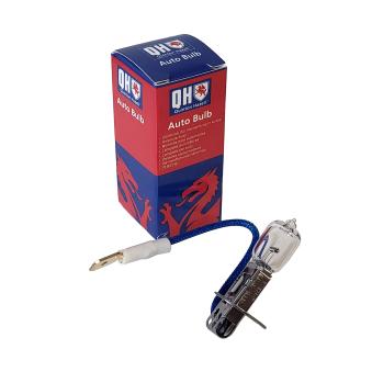 Ampoule, projecteur antibrouillard QUINTON HAZELL QBL453 pour LEXUS NX 1.9 TDI - 110cv