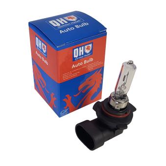 Ampoule QUINTON HAZELL QBL9012 pour OPEL CORSA EV 150 - 151cv