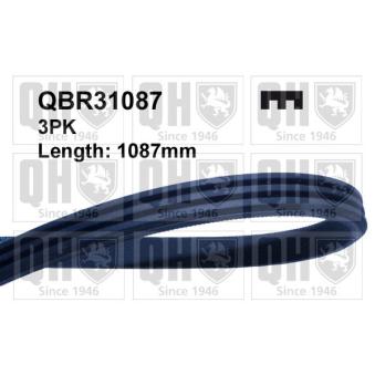 Courroie trapézoïdale à nervures QUINTON HAZELL QBR31087 pour ROVER 800 825 D/SD - 118cv