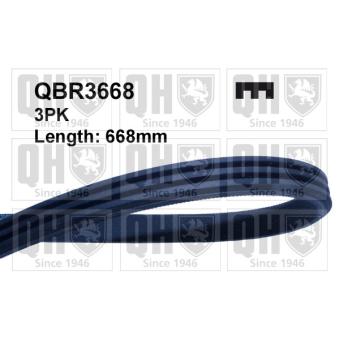 Courroie trapézoïdale à nervures QUINTON HAZELL QBR3668 pour TOYOTA RAV 4 1.6 160 SR - 110cv