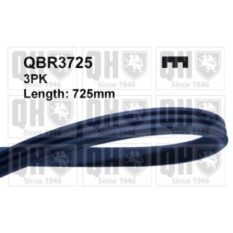 Courroie trapézoïdale à nervures QUINTON HAZELL QBR3725 pour SUBARU VIVIO 660 4WD - 44cv