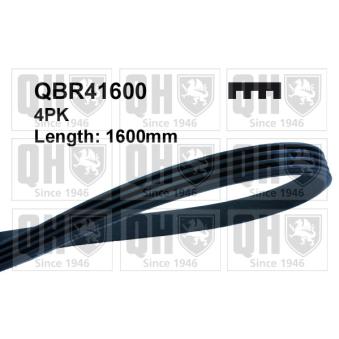 Courroie trapézoïdale à nervures QUINTON HAZELL OEM 19230RMX003 Courroie trapézoïdale à nervures QUINTON HAZELL OEM 19230RMX003