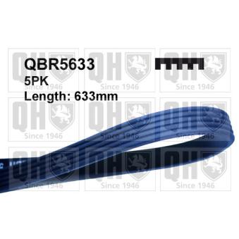 Courroie trapézoïdale à nervures QUINTON HAZELL QBR5633 pour ROVER 800 820 SI - 133cv